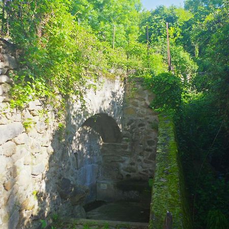 Puig Roja Del Roser Prats-de-Mollo-la-Preste Zewnętrze zdjęcie